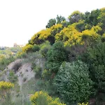 Yonca 아드라산