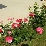 호텔 Yonca