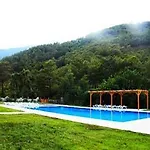 Yonca 3*