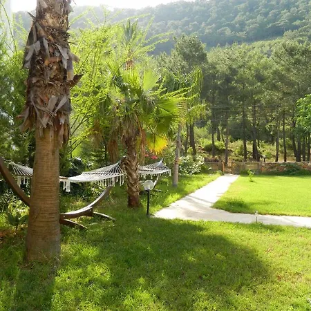 Yonca Hotell 3*