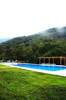 Yonca 3*