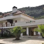 Yonca 3*