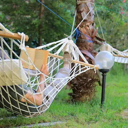 Yonca 3* אדראסן