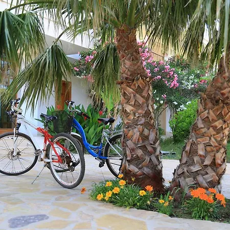 Yonca 3* אדראסן