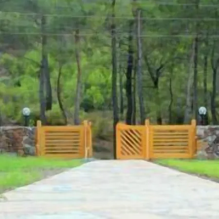 Yonca 3* אדראסן