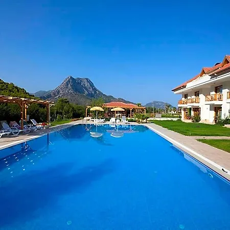 Yonca 3*