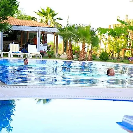 Yonca 3*