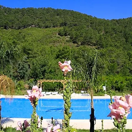 Yonca Hotel